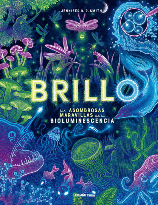 Libro Brillo 9786075579313