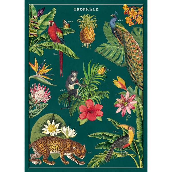Poster Tropical