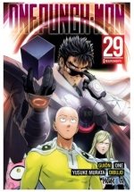 One Punch Man 29