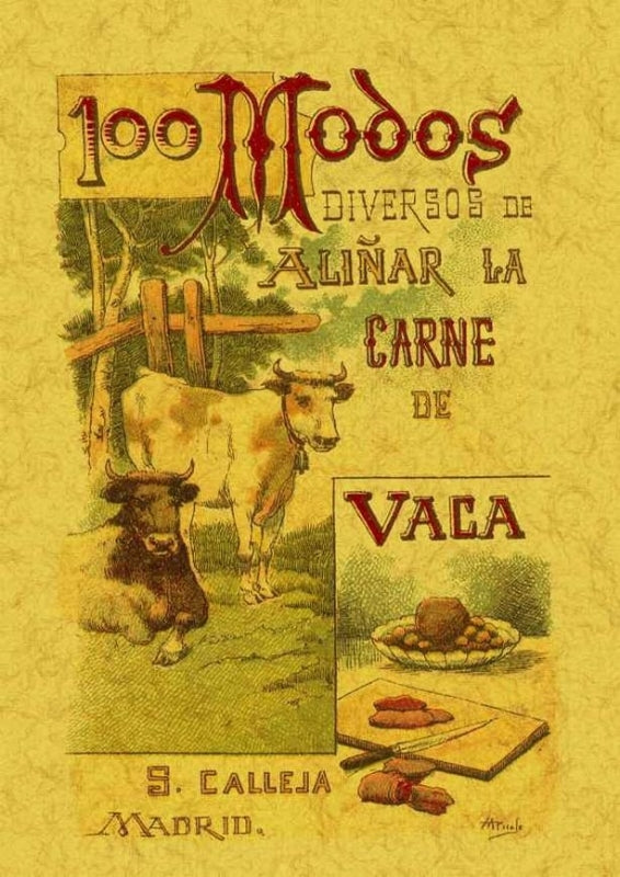 100 Modos Diversos De Aliñar La Carne Vaca. Fórmulas Sencillas Y Prácticas Libro