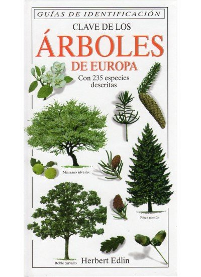 Clave De Los Arboles De Europa