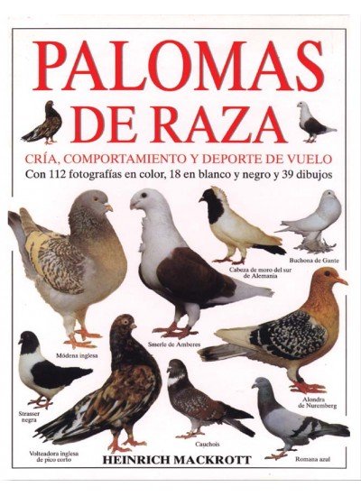 Razas De Palomas