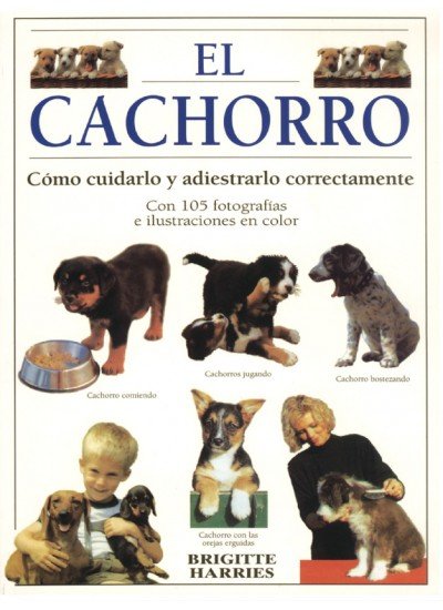 El Cachorro