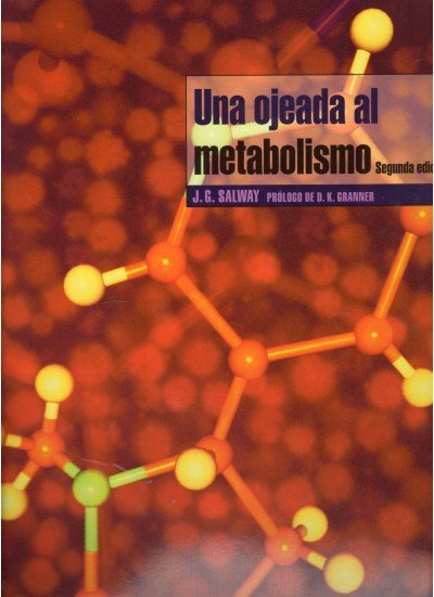 Una Ojeada Al Metabolismo