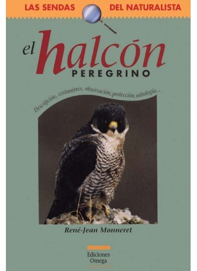 El Halcon Peregrino