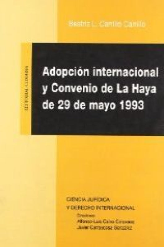 Adopcion Internacional Y Convenio Libro