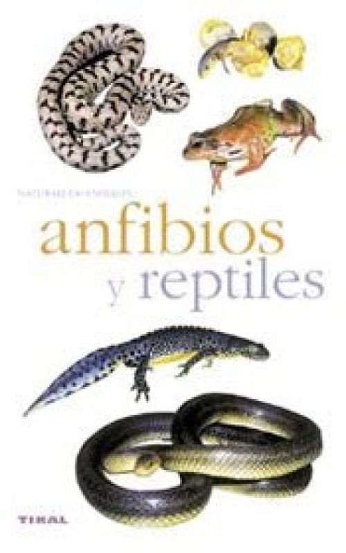 Anfibios Y Reptiles Libro