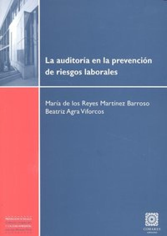 Auditoria En La Prevencion Riesgos Laborales Libro