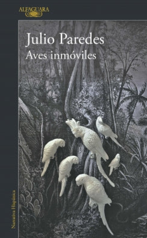 Aves Inmóviles Libro