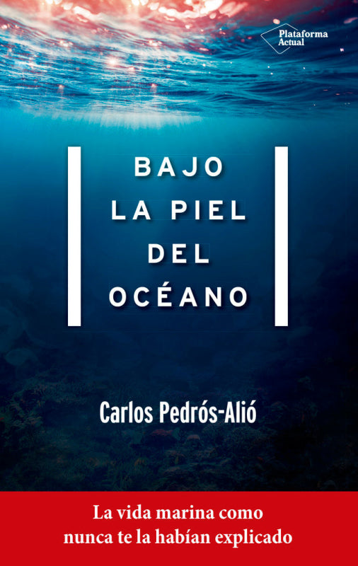 Bajo La Piel Del Océano Libro