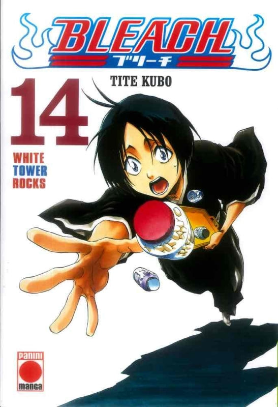 Bleach N 14 Libro