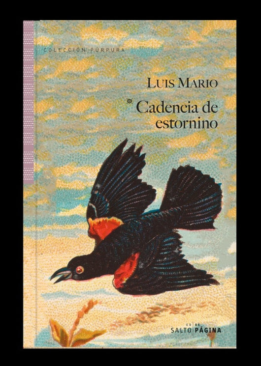 Cadencia De Estornino Libro