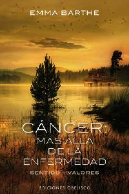 Cáncer: Más Allá De La Enfermedad Libro