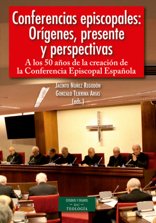 Conferencias Episcopales: Orígenes Presente Y Perspectivas Libro