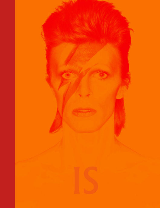 David Bowie Is Inside Libro