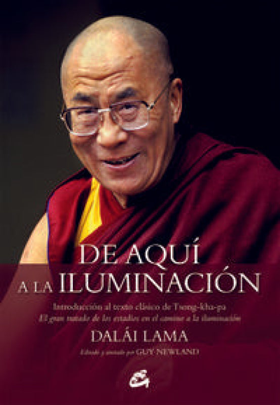 De Aquí A La Iluminación Libro