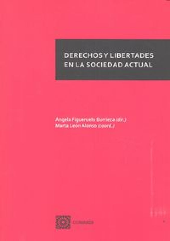 Derechos Y Libertades En La Sociedad Actual Libro