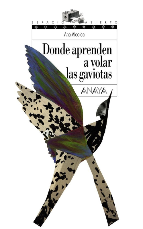 Donde Aprenden A Volar Las Gaviotas Libro