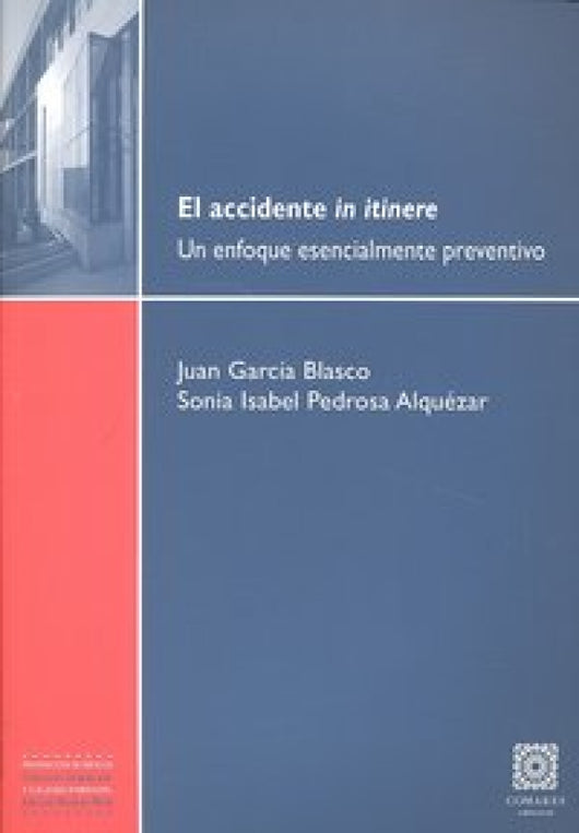 El Accidente In Itinere. Libro