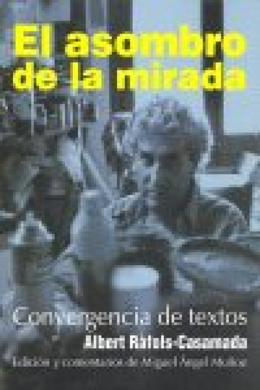 El Asombro De La Mirada Libro