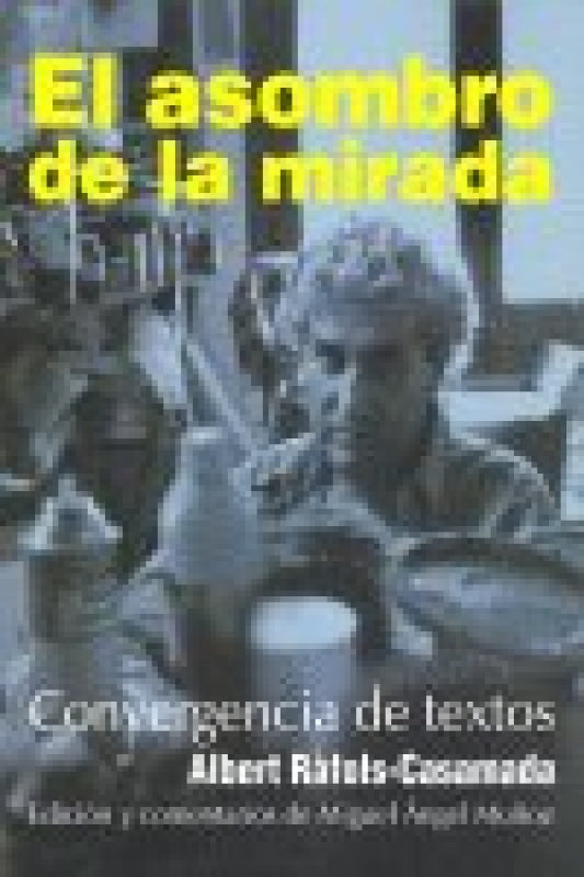 El Asombro De La Mirada Libro