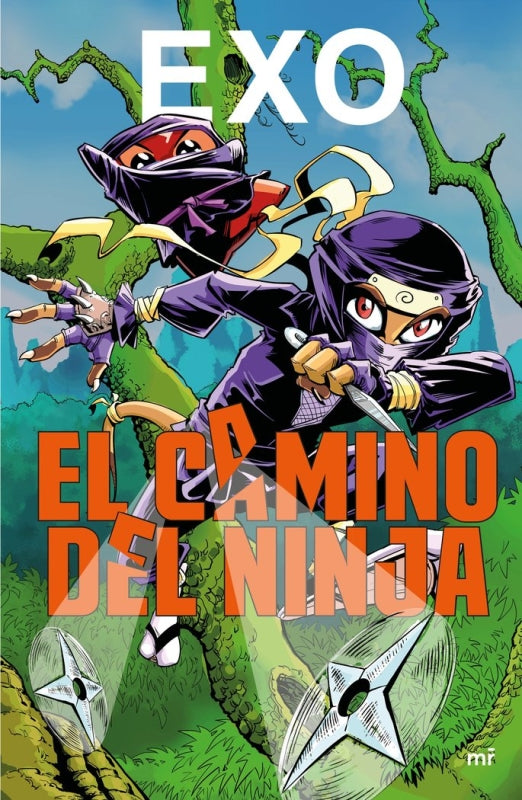 El Camino Del Ninja Libro