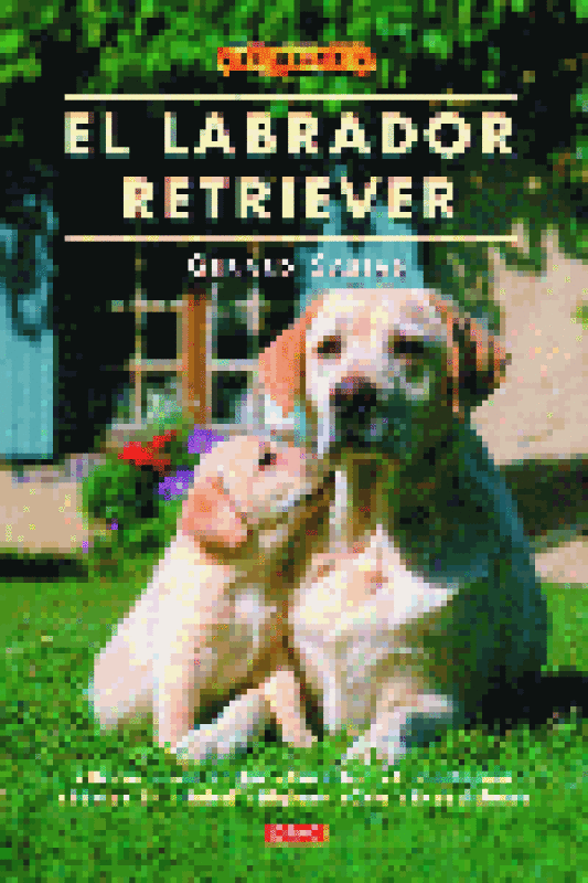 El Labrador Retriever Libro