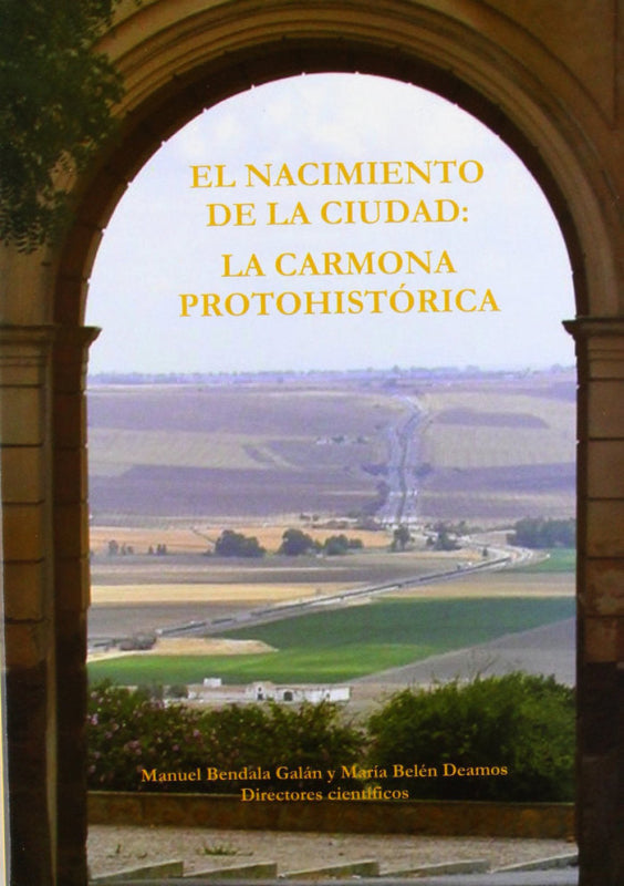 El Nacimiento De La Ciudad: Carmona Protohistórica Libro