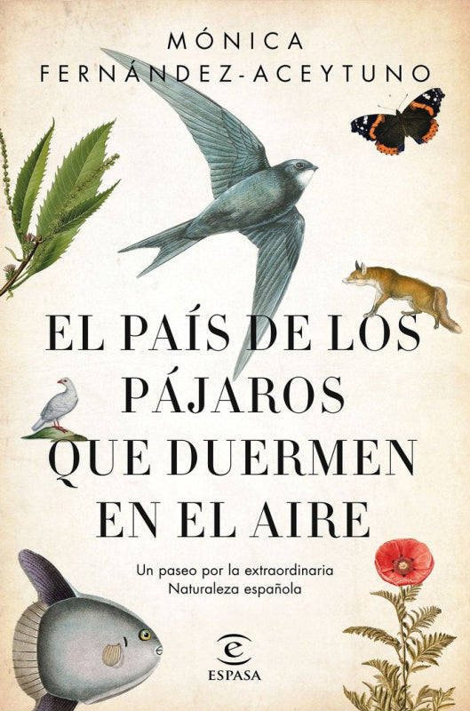 El País De Los Pájaros Que Duermen En El Aire Libro