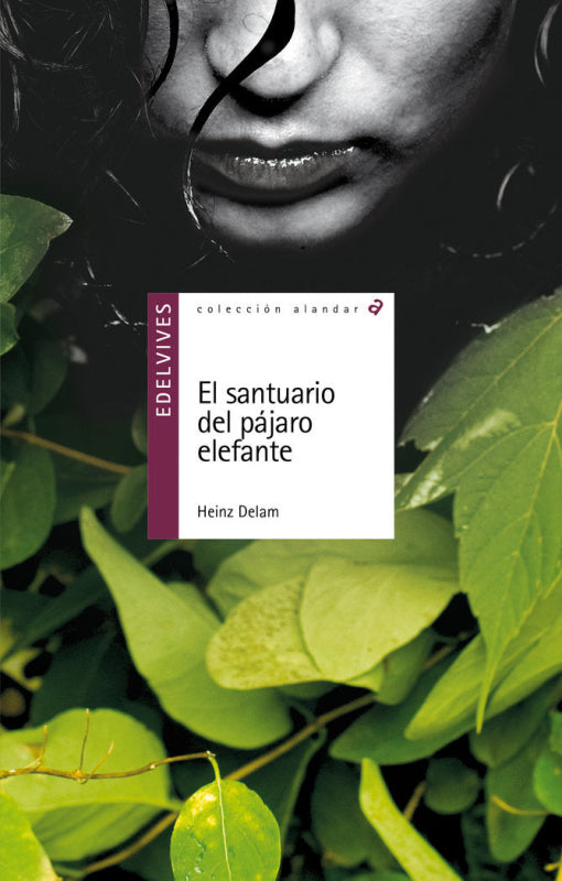 El Santuario Del Pájaro Elefante Libro