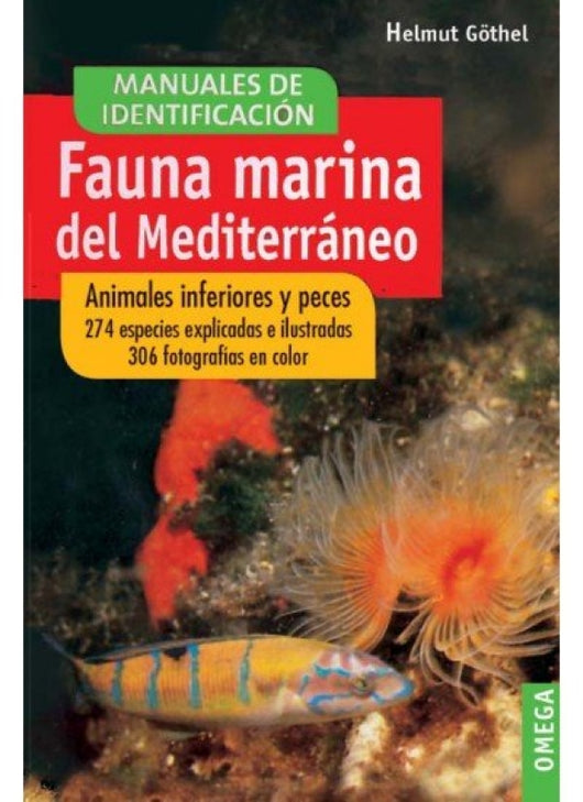 Fauna Marina Del Mediterraneo Libro