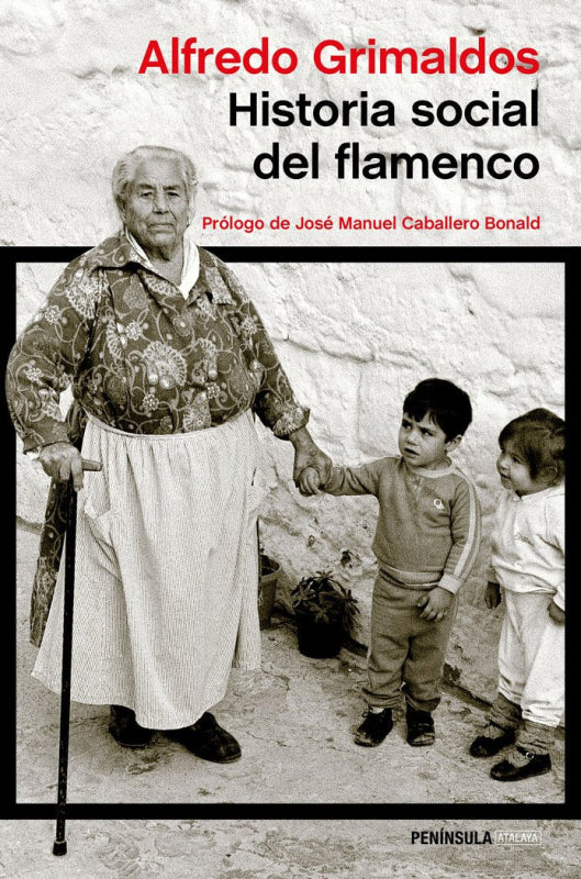 Historia Social Del Flamenco Libro