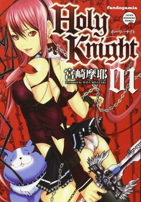 Holy Knight 1 Libro