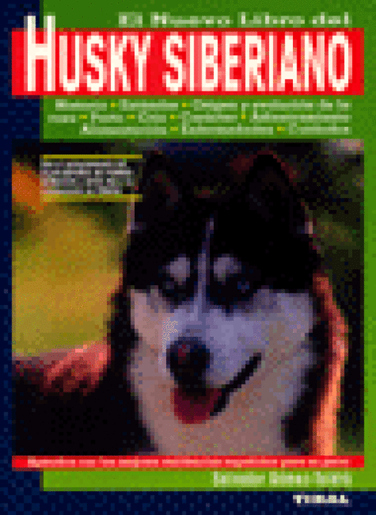 Husky Siberiano Libro