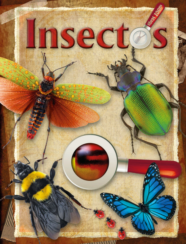 Insectos Libro