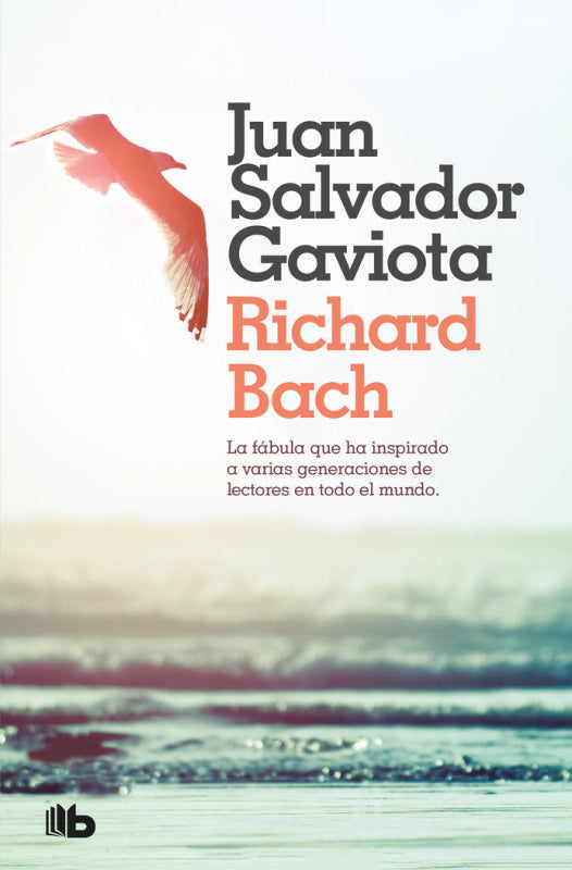 Juan Salvador Gaviota Libro