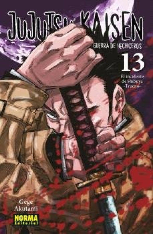 Jujutsu Kaisen 13 Libro