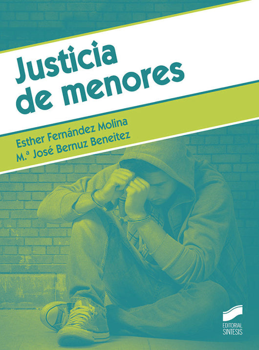 Justicia De Menores Libro