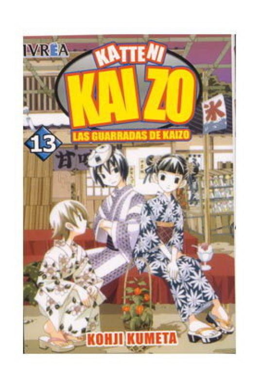 Katteni Kaizo 13 Libro