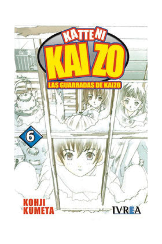 Katteni Kaizo 6 Libro