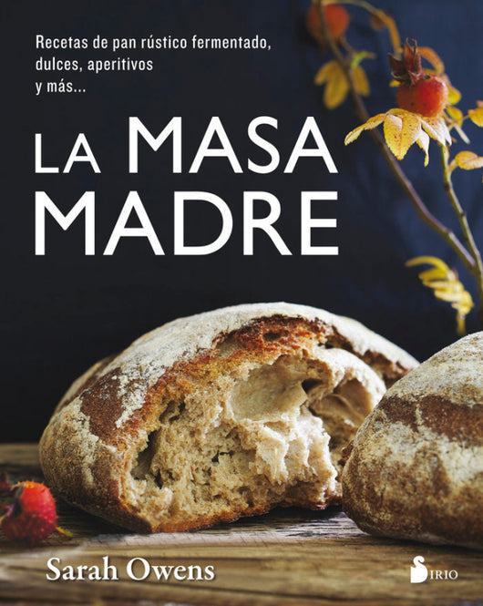 La Masa Madre Libro