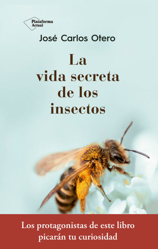 La Vida Secreta De Los Insectos Libro