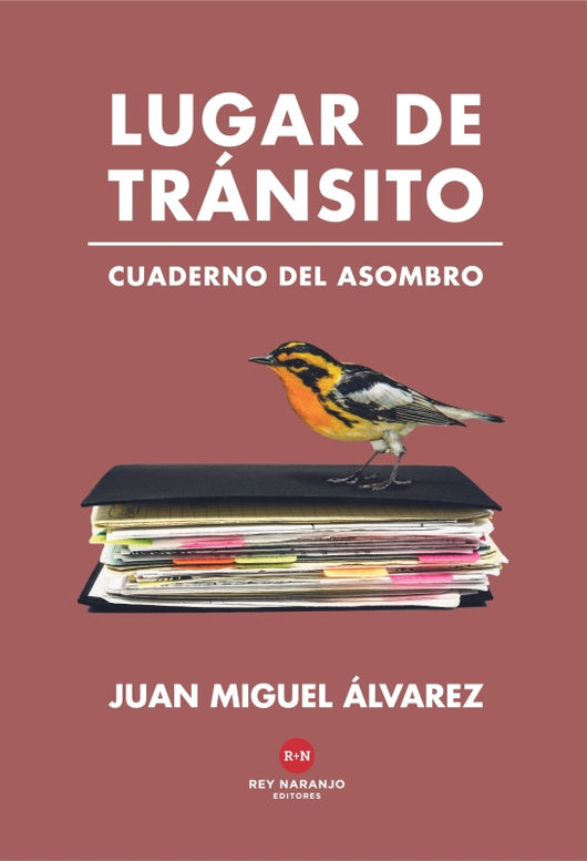 Lugar De Tránsito Libro