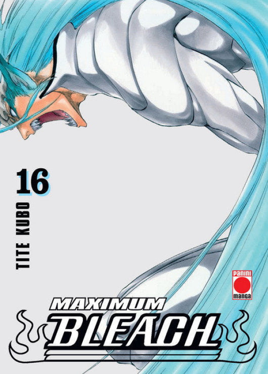 Maximum Bleach 16 Libro