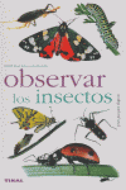 Observar Los Insectos Libro