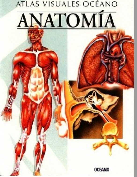 Atlas Visuales Océano. Anatomía