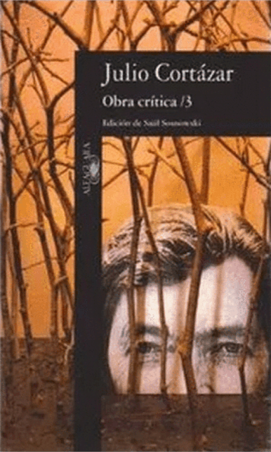 Obra Crítica 3