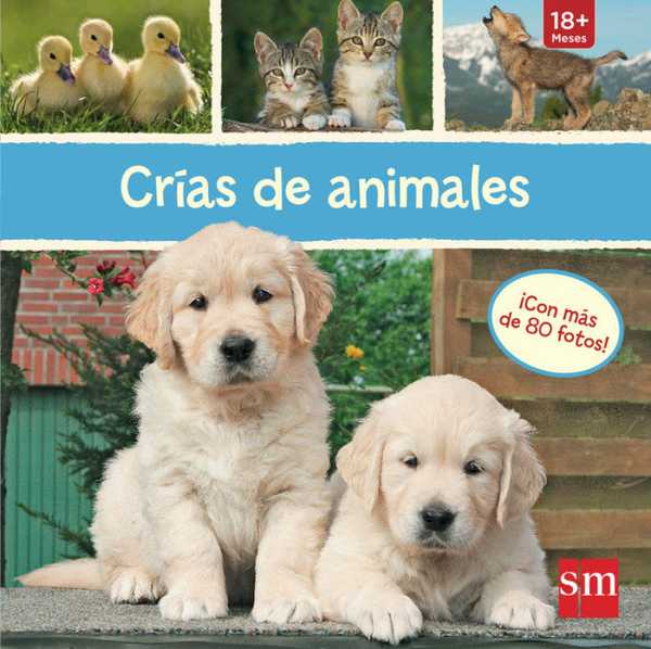 Crías De Animales