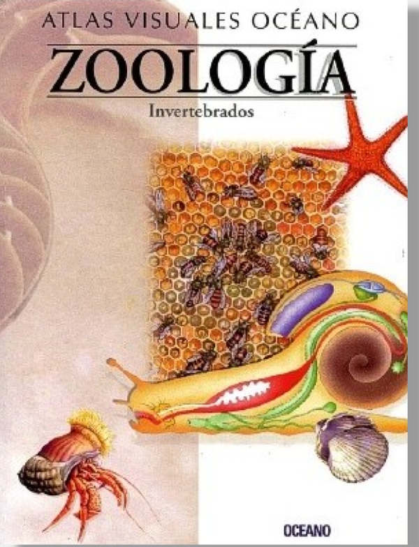 Atlas Visuales Océano. Zoología-Invertebrados