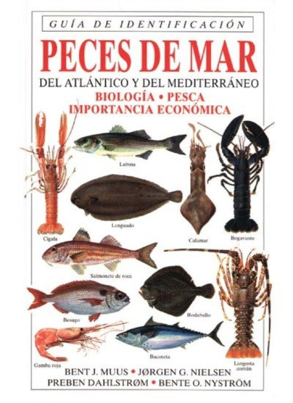 Peces De Mar. Guia Identificacion Libro